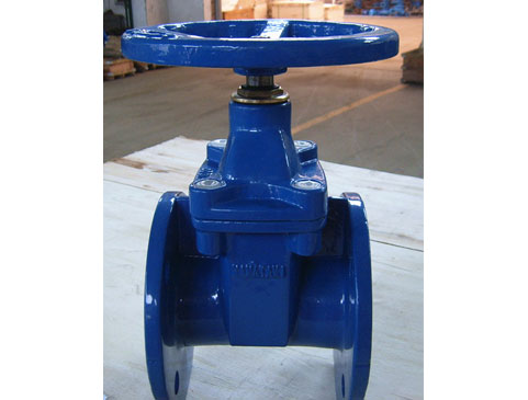 Gate Valve