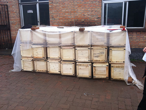 Фланцевый пожарный гидрант